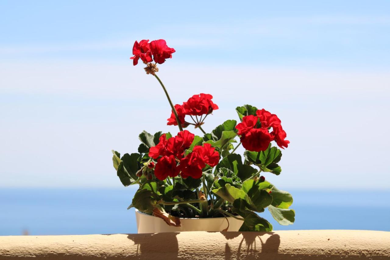 Appartement Amazing Sea View à Fuengirola Extérieur photo